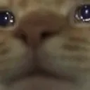 cri