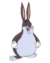 chungus chungus