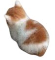 :angy: Discord Emote