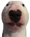 walter_tsuki