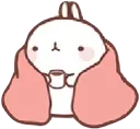 bunny bunny