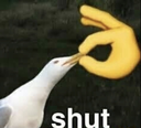 shut