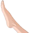 foot