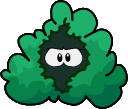 cpbush