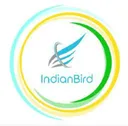 IndianBird