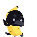 raven_pbjt
