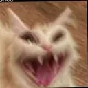 AAAAAAAAAA