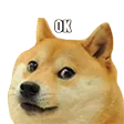 cscoopOK