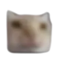 cscoopST