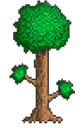 terraria