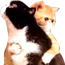 Catastrophe_CatHug Catastrophe_CatHug
