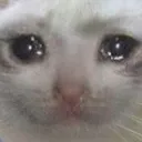 big_sad