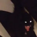 Catastrophe_Spookitty