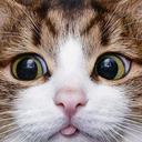 emoji_106 Discord emoji