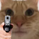 brungun
