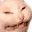 reee