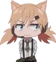 IDWworry