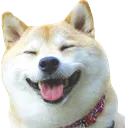 happ happ