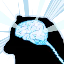 cheemsbigbrain