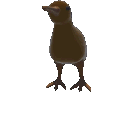 :AnimatedDuck01: Discord Emote