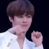 ws_meow ws_meow