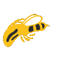 585561941016051736