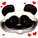 :pandamnhearts: