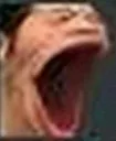 pog