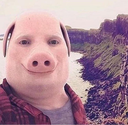 Pig Discord emoji