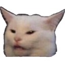 madcat Discord emoji