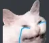 CryingCat