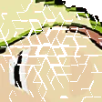 TOODANK TOODANK