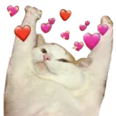 Luvcat Discord Emoji