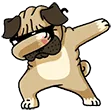 CartiDab