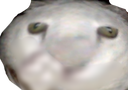 ertdfbhnrsdezfhtfezdfhbejnrtysxz Discord emoji