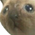 proletariat Discord emoji