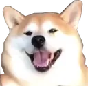 Happydoggo happydoggo Discord Emoji