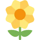 BlossomYellow_RCE