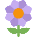 BlossomPurple_RCE