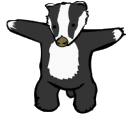 badgers