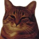 670907497636429842.png?v=1