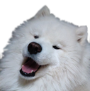 :HappyGhost: