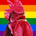 pride_bock