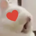 bunlove