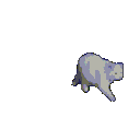 Catwalk catwalk Discord Emoji