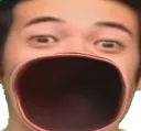 PogO PogO