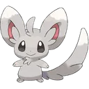 Minccino