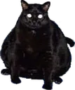 wide