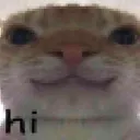 Hi