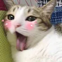 Oasis_Blinky_kittygao Discord Emoji